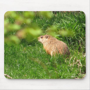 Woodchuck ~ mousepad