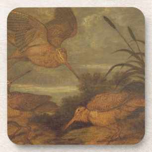 Woodcock at Dusk, c.1676 (oil on canvas) Coaster