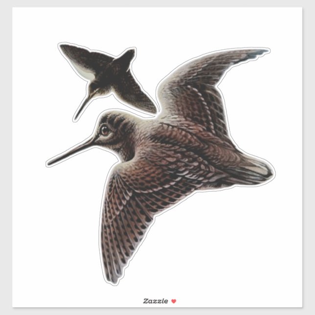 Woodcock hunting (Sheet)