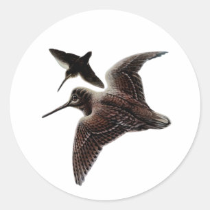 Woodcock hunting classic round sticker