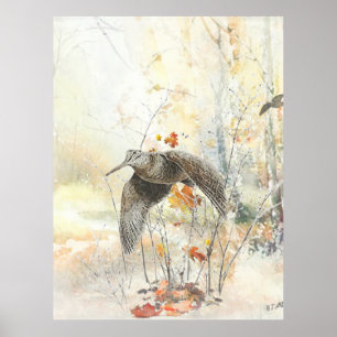 Woodcock Hunting Season  Poster