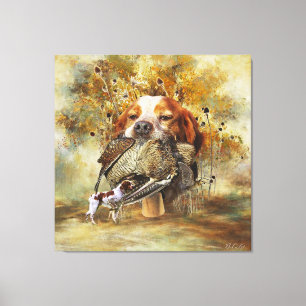 Woodcock hunting with Brittany Spaniel  Canvas Print