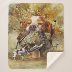 Woodcock hunting with Brittany Spaniel      Sherpa Blanket