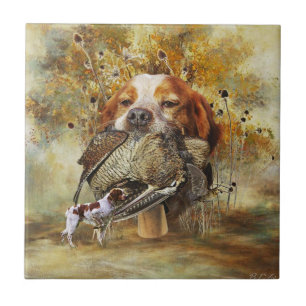 Woodcock hunting with Brittany Spaniel      Tile