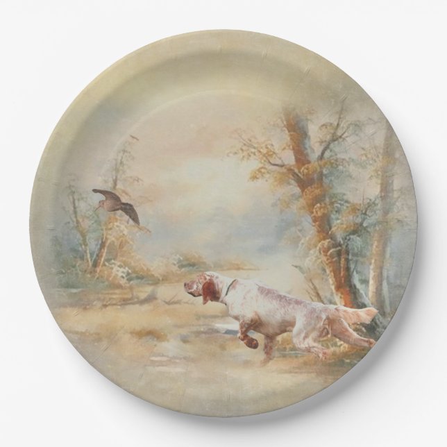Woodcock Hunting with English Setter in forest, Ar Paper Plate (Front)