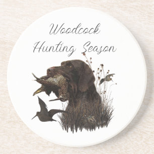 Woodcock Hunting with German Wirehaired Pointer Coaster