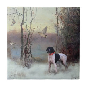 Woodcock Hunting with GSP     Tile