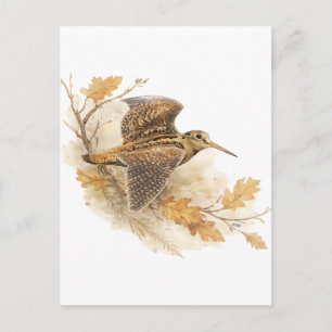 Woodcock  postcard