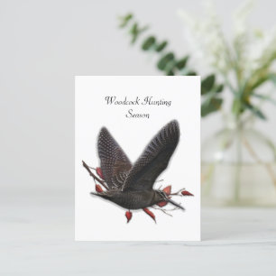 Woodcock postcard