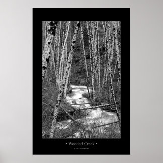 Wooded Creek Poster