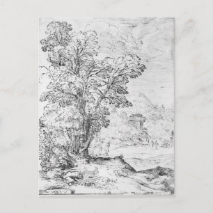 Wooded landscape postcard