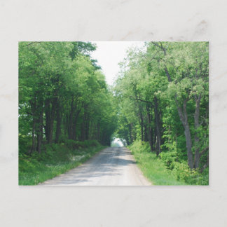Wooded Lane Postcard