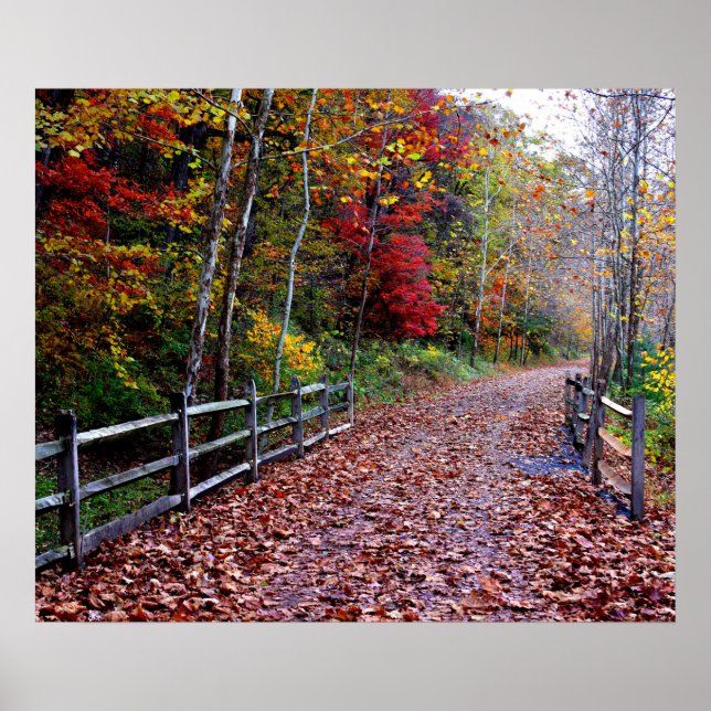 Wooded Path Poster (Front)