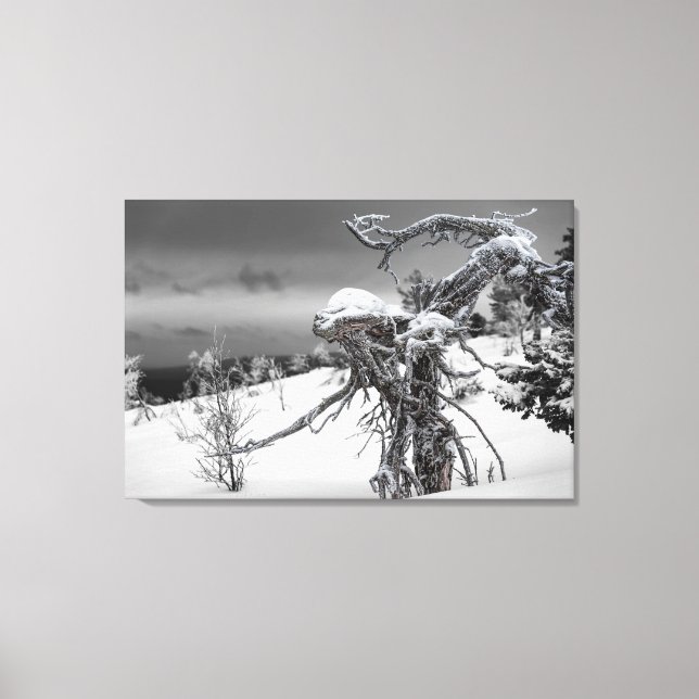 Wooden alien in winter setting canvas print (Front)