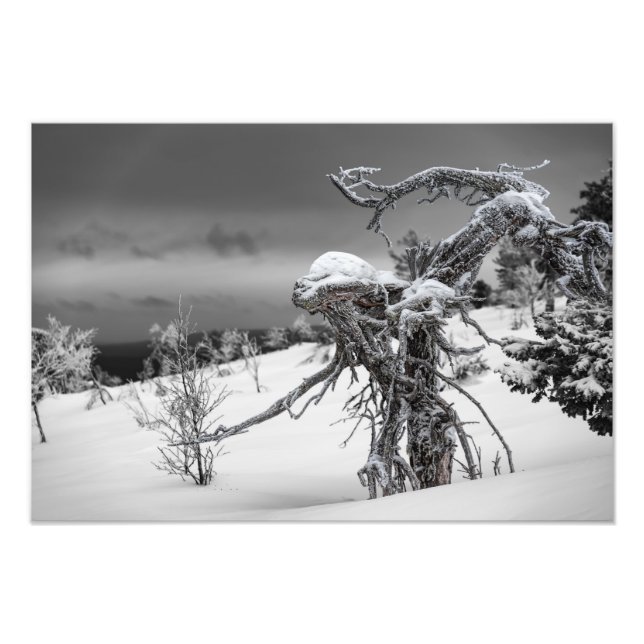 Wooden alien in winter setting in the Finnish Lapl Photo Print (Front)