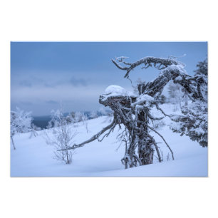 Wooden alien in winter setting photo print