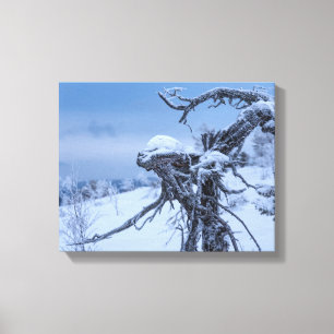 Wooden alien winter canvas print