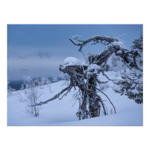 Wooden alien winter poster