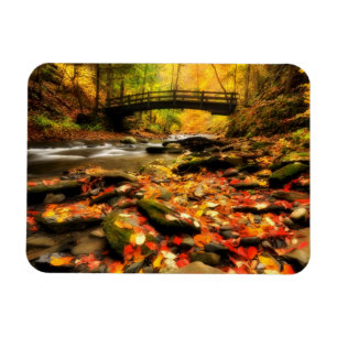 Wooden Bridge and Creek in Fall Magnet
