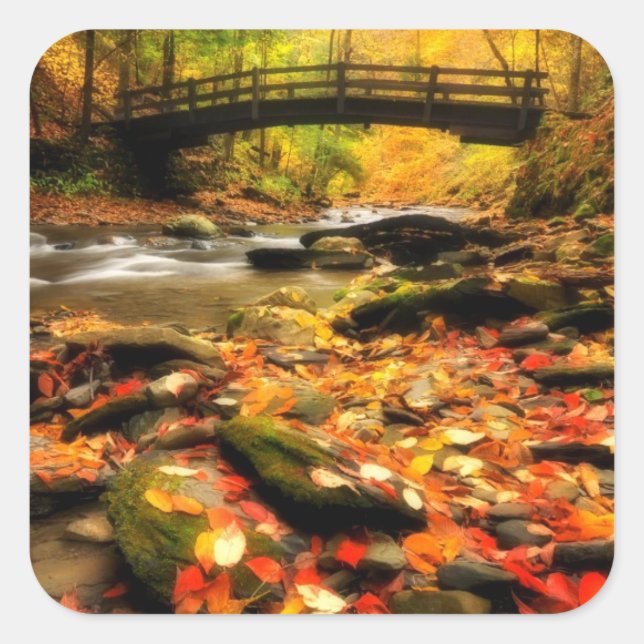 Wooden Bridge and Creek in Fall Square Sticker (Front)