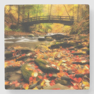 Wooden Bridge and Creek in Fall Stone Coaster