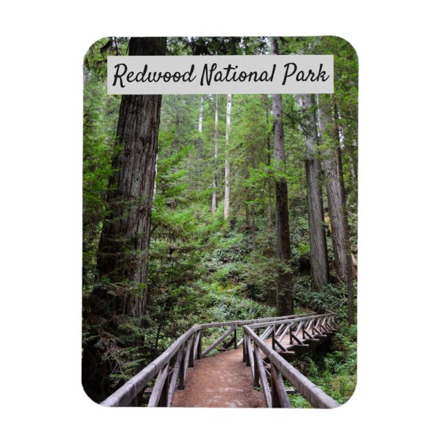 Wooden Bridge and Sequoias | Redwood National Park Magnet (Vertical)