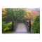 Wooden Bridge in Japanese Garden Poster
