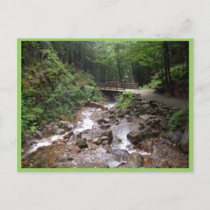 Wooden Bridge In The Forest With Water And Rocks Postcard