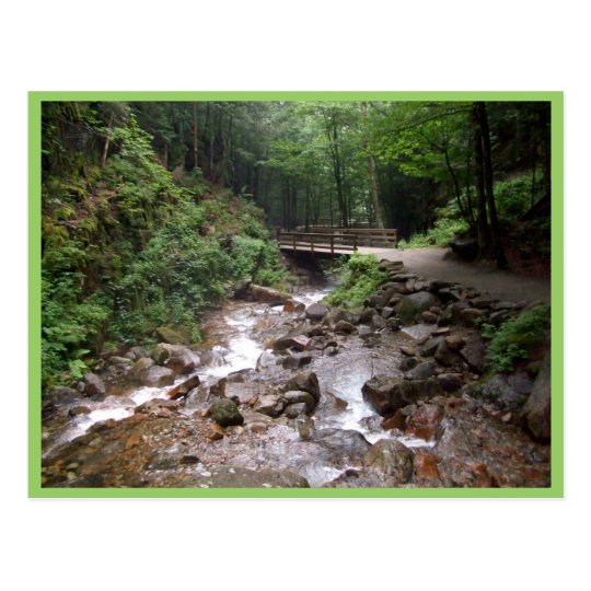 Wooden Bridge In The Forest With Water And Rocks Postcard