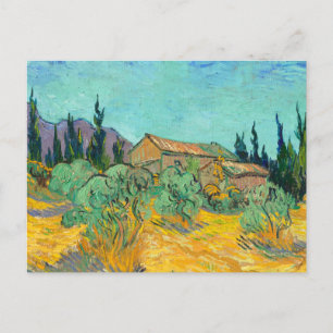 Wooden Cabins among the Olive Trees and Cypresses Postcard