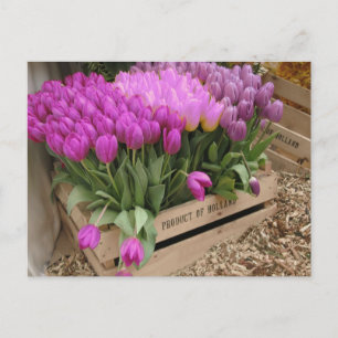 wooden crate with purple tulips postcard