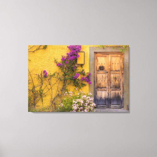 Wooden doorway canvas print (Front)