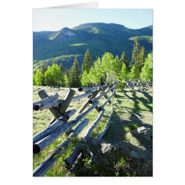 Wooden Fenceline (Front)