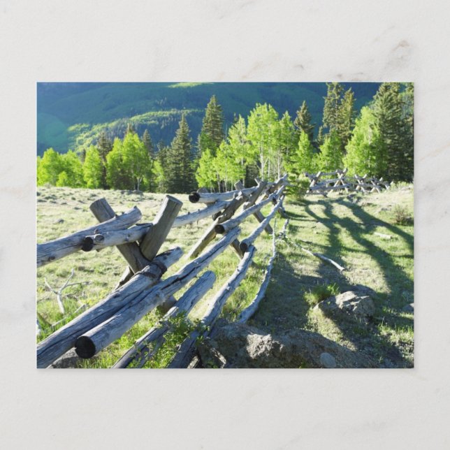 Wooden Fenceline Postcard (Front)