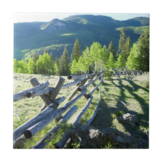 Wooden Fenceline Tile (Front)