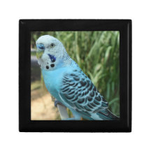 Wooden Jewellery Keepsake Box