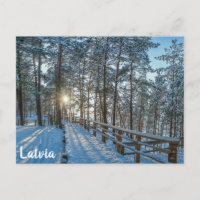 Wooden path across snowy winter forest
