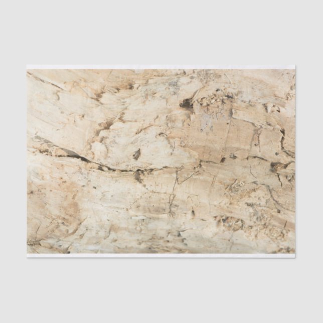 Wooden pattern tissue paper (Front)