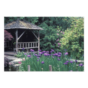 Wooden pavilion in the Sunken Garden in Photo Print
