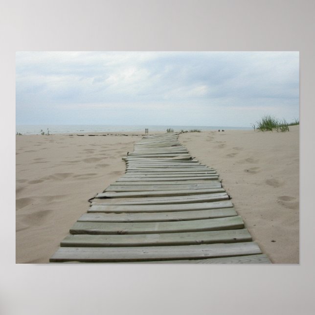 Wooden Plank Path Poster (Front)