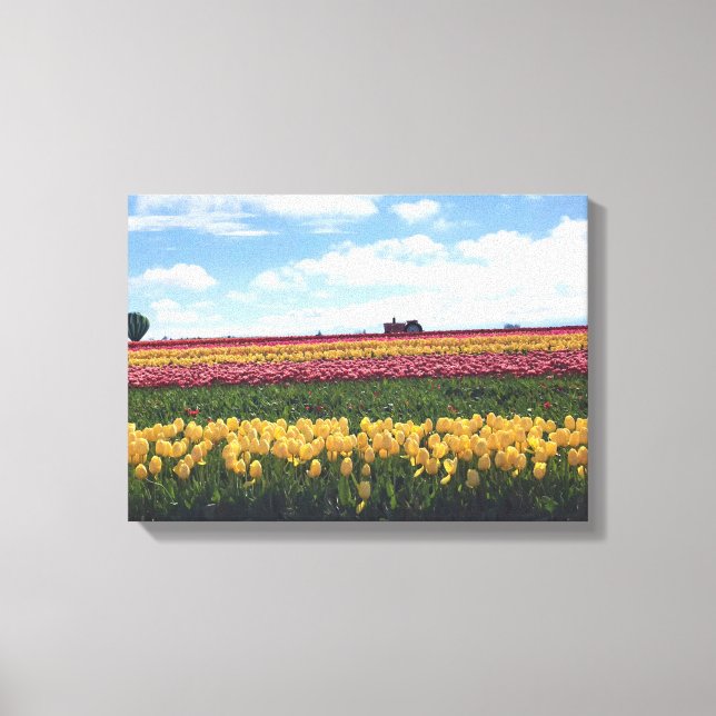 Wooden Shoe Tulip Farm, Woodburn, Oregon Canvas Print (Front)