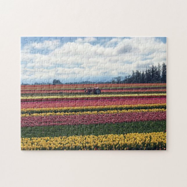 Wooden Shoe Tulip Farm, Woodburn, Oregon Jigsaw Puzzle (Horizontal)