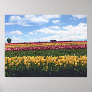 Wooden Shoe Tulip Farm, Woodburn, Oregon Poster