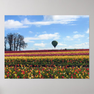 Wooden Shoe Tulip Farm, Woodburn, Oregon Poster