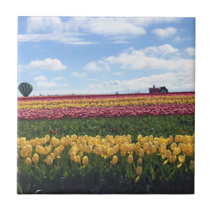 Wooden Shoe Tulip Farm, Woodburn, Oregon Tile