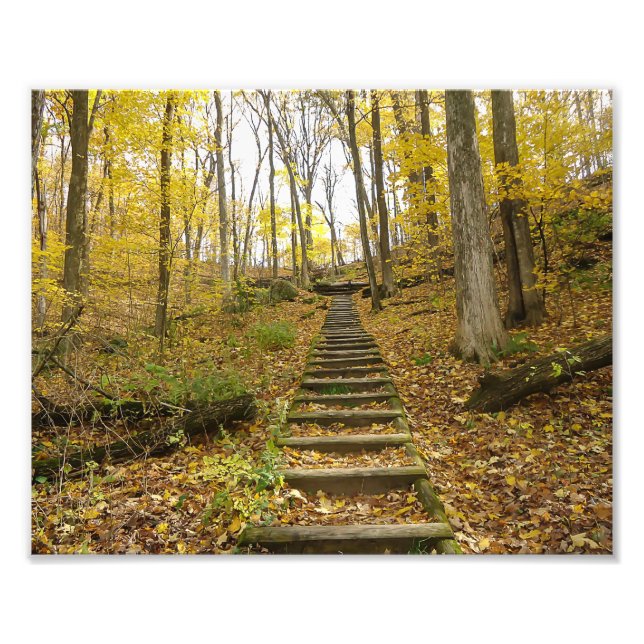 Wooden Stairs in a State Park Photo Print (Front)
