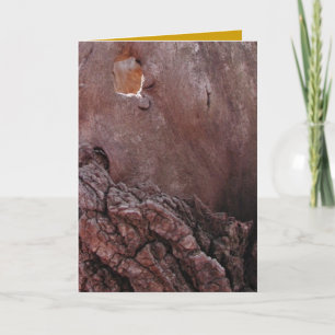 Wooden Tears Card