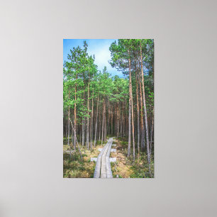 Wooden trail in pine forest canvas print