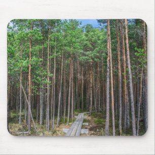 Wooden trail in pine forest mouse mat