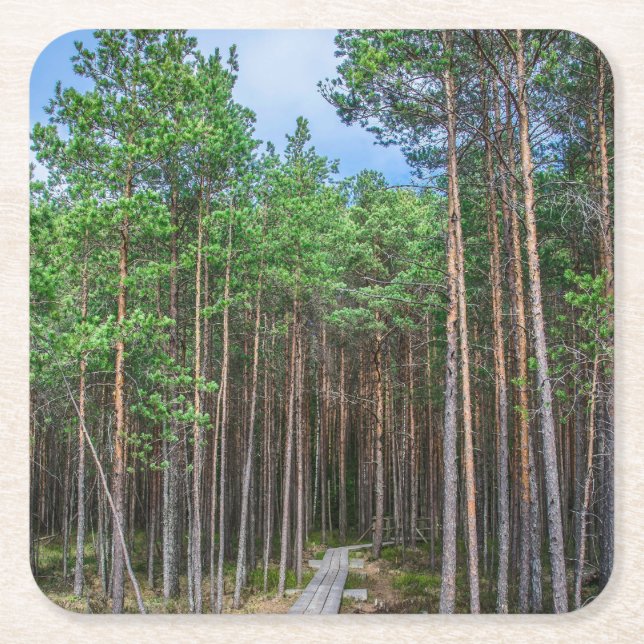 Wooden trail in pine forest square paper coaster (Front)